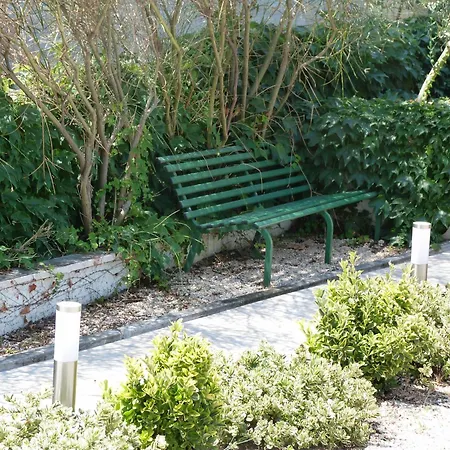 Roko, Sevid Apartman Marina