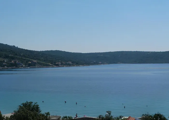 Lejlighed Roko, Sevid